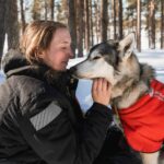 Nachhaltige Husky Tour in Finnisch Lappland