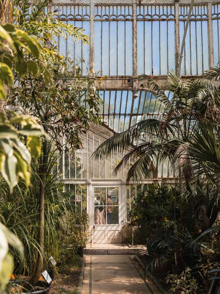 Nordirland Botanischer Garten