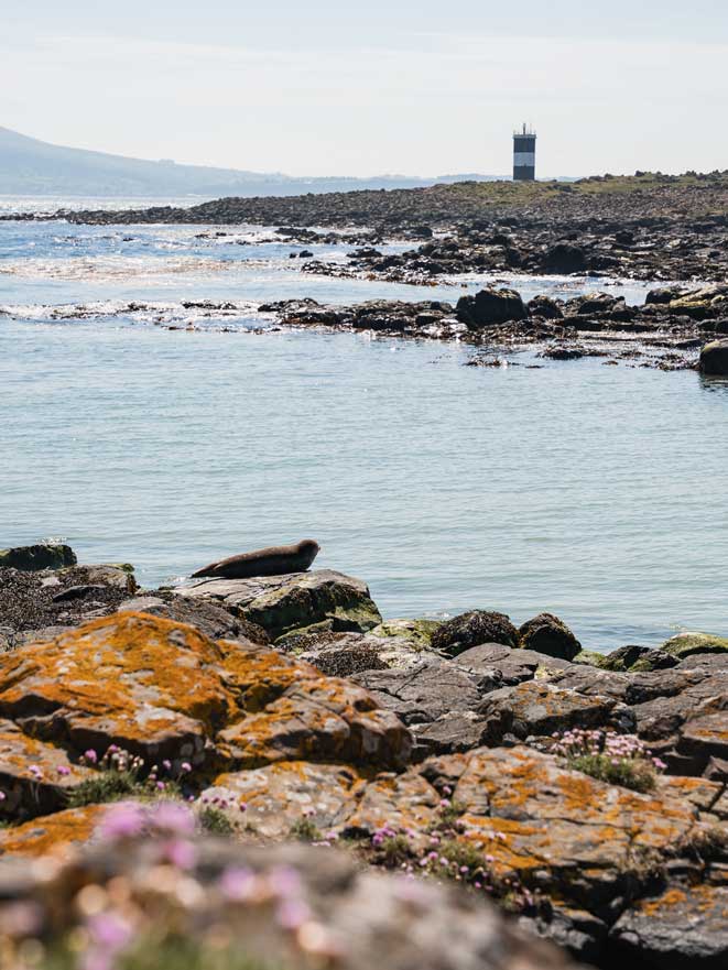 Rathlin Island Nordirland