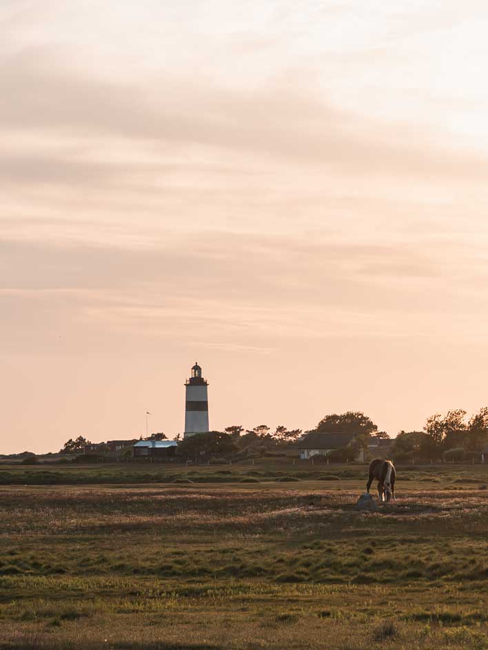 Naturreservat