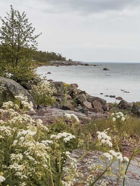 Aussicht aufs Felsenmeer