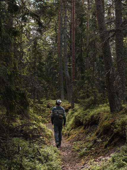 Beeindruckender Wald auf Reposaari in Pori