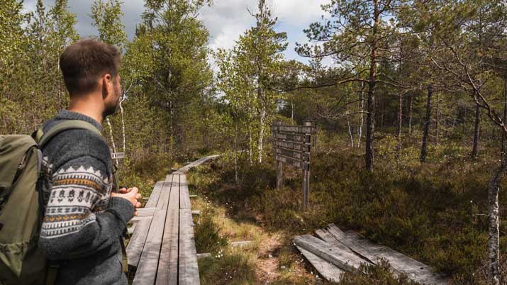 Wanderung in Finnland an der Westküste