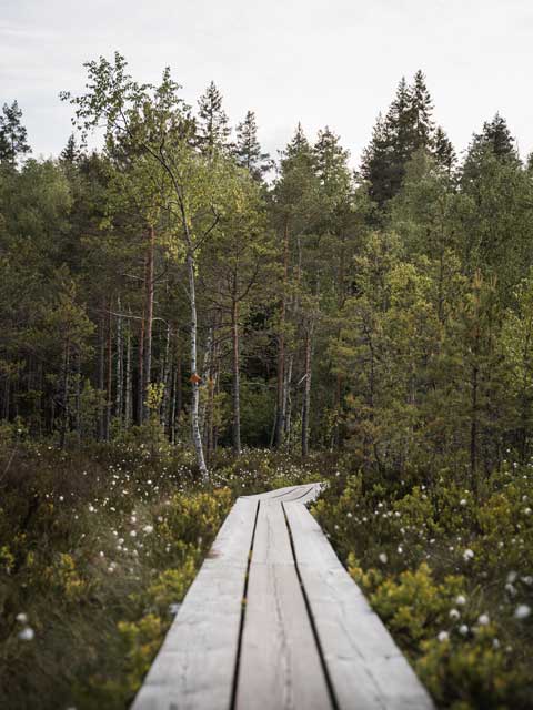 Wanderung in Teijo Nationalpark