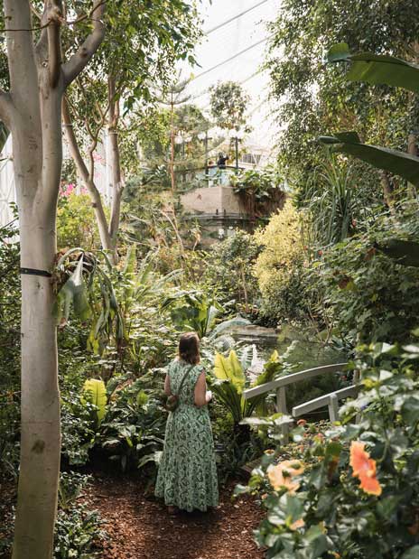 Hidden Oasis