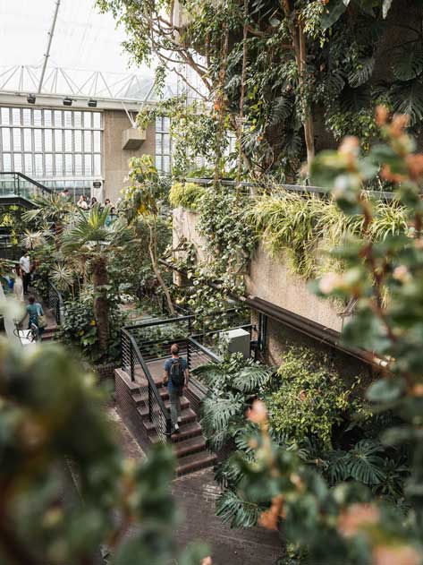 Kostenlose Sehenswürdigkeiten: Barbican Conservatory London
