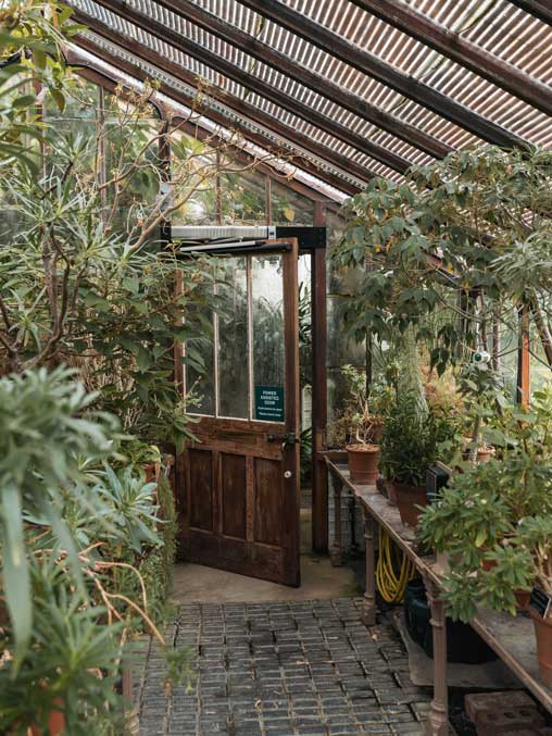 Versteckter Botanischer Garten London