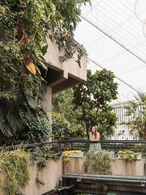 Barbican Conservatory London