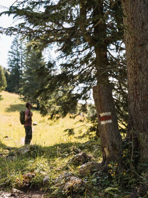 Wanderung auf die Kanisfluh ab Mellau