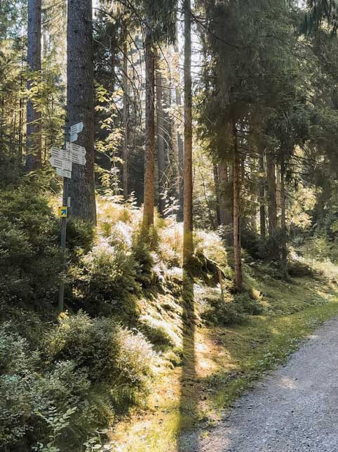 Wandern in Baiersbronn