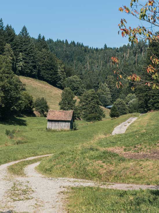 Wandern im Schwarzwald ab Baiersbronn