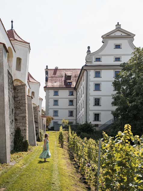 Geheimtipp Wein in Weingarten