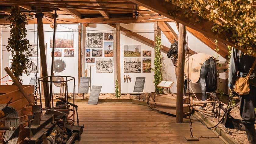 Tettnang Bodensee Hopfenmuseum