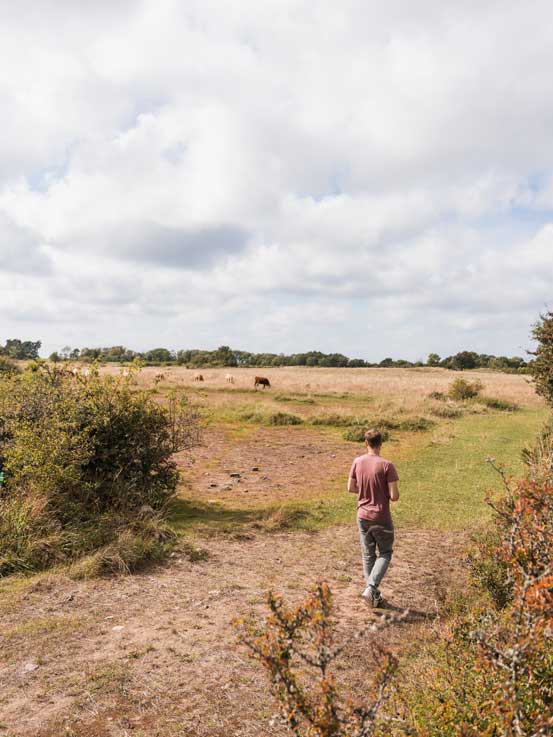 Wandern auf Öland