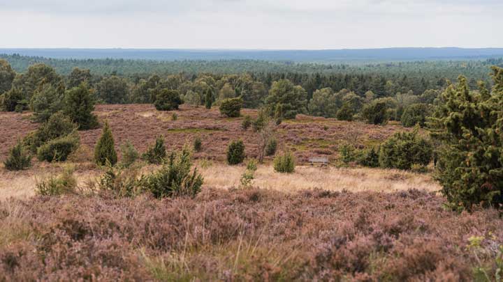 Aussicht Wilseder Berg