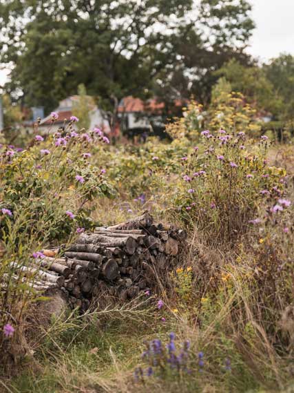 Capellagarden Vickleby Öland Schweden