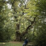 Die Rhön Ausflugstipps und Wanderungen