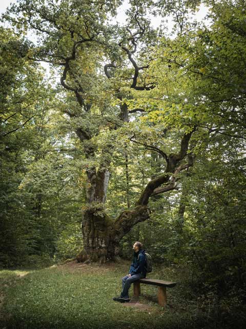 Die Rhön Ausflugstipps und Wanderungen