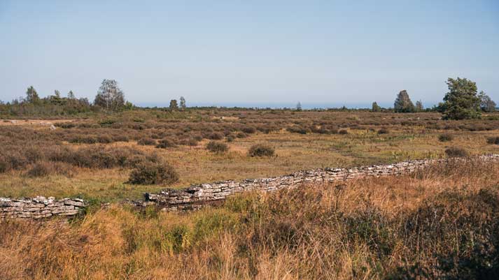 Alvar Landschaft auf Öland in Schweden