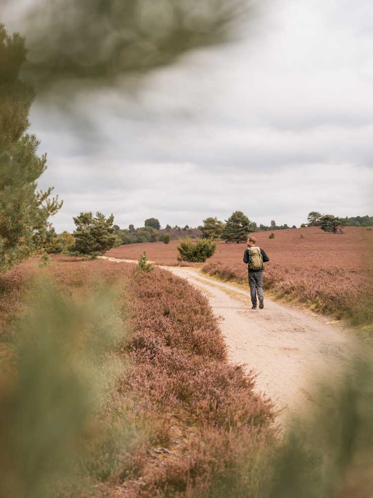 Nebensaison im Naturpark Lüneburger Heide