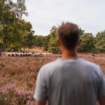 Naturpark Lüneburger Heide