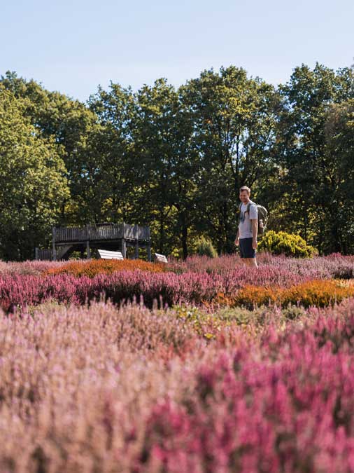 Heidegarten in Schneverdingen