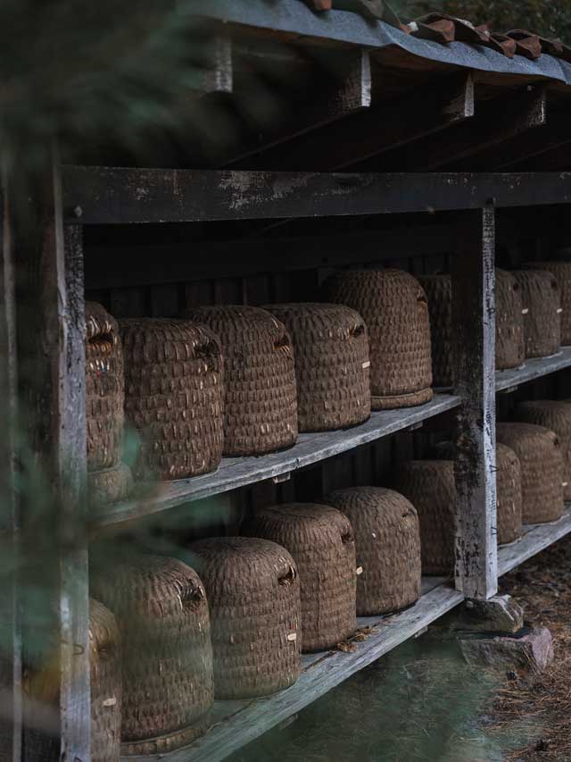 Bienenstöcke am Weg im Naturpark Lüneburger Heide