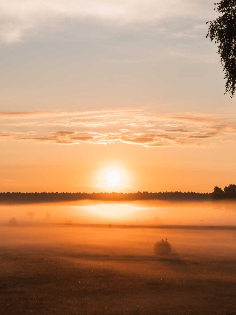 Sonnenaufgang in der Heide