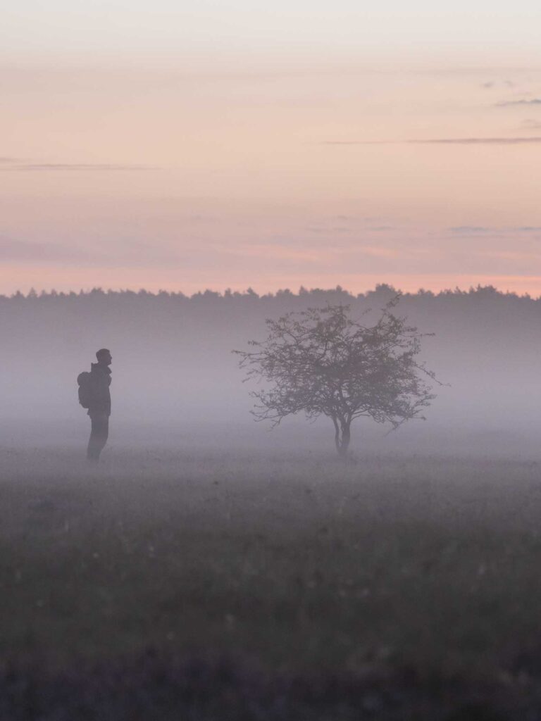 Naturpark Lüneburger Heide am Morgen