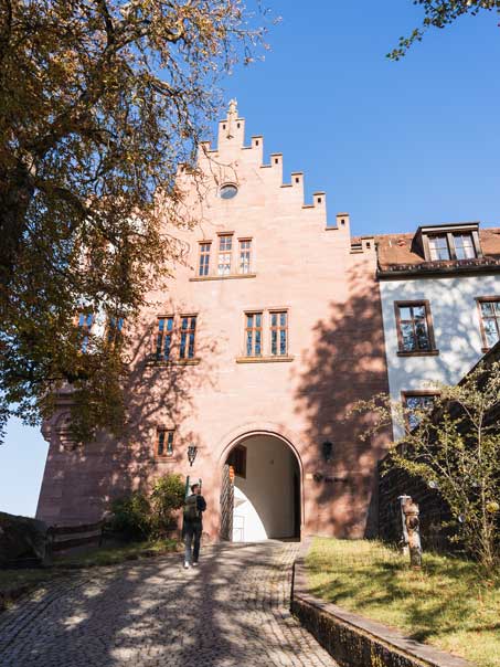 Burg Rieneck im Naturpark Spessart