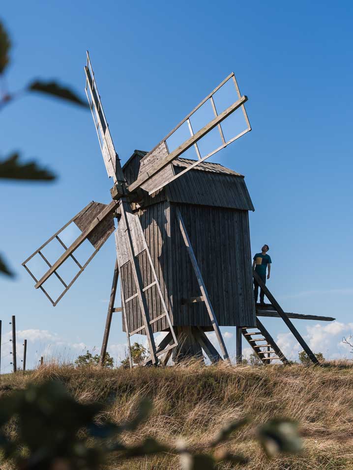 Windmühlen auf Öland