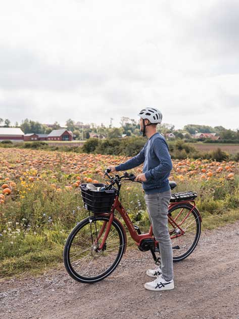 Öland Fahrradtour