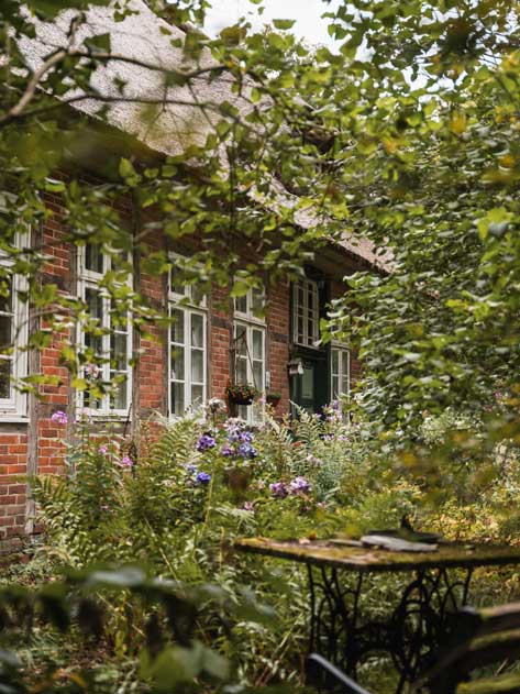 Verwunschener Teegarten im Naturpark Lüneburger Heide