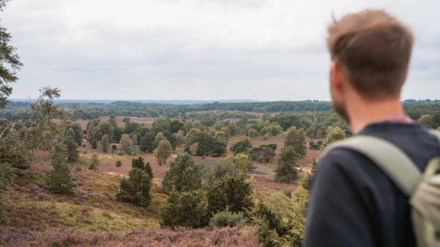 Aussicht vom Wilseder Berg auf den Naturpark Lüneburger Heide