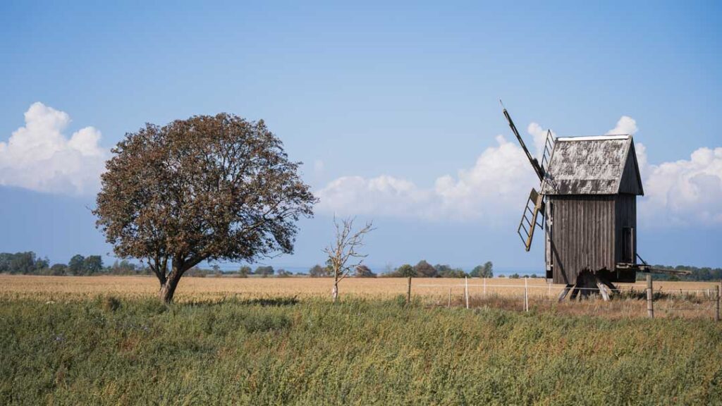 Windmühlen auf Öland Schweden