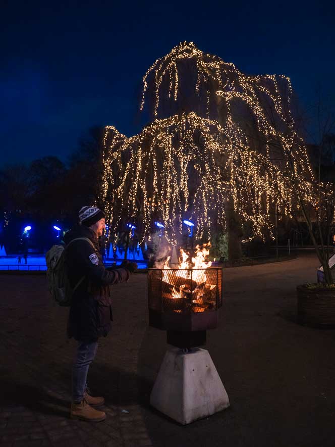 Malmö im Winter