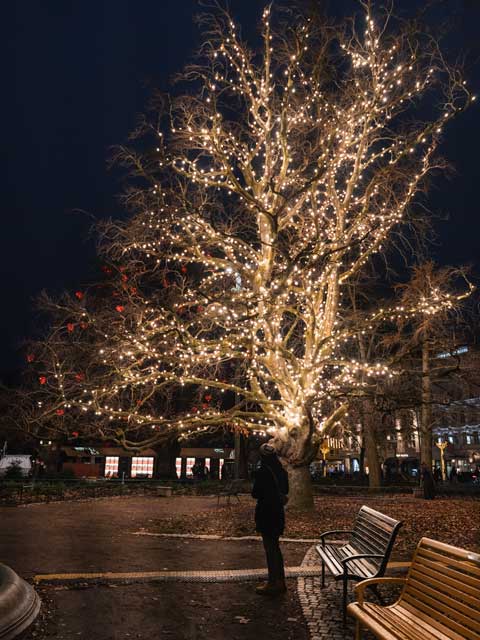 Malmö im Winter