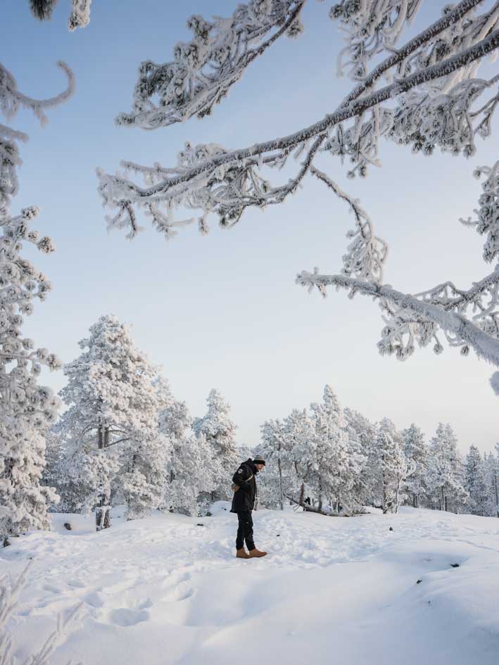 Mehr über den Artikel erfahren Rovaniemi Finnland: Reisetipps ohne Auto