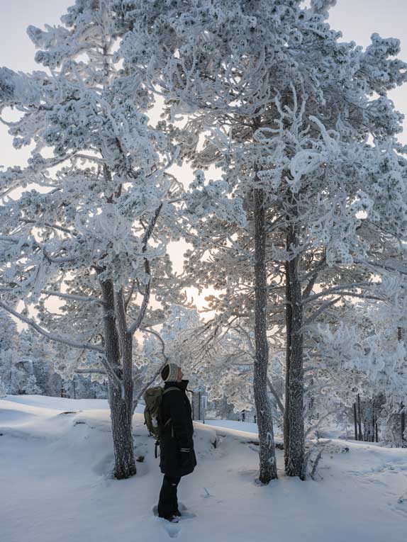 Winter Wunderland in Ounasvaara Rovaniemi