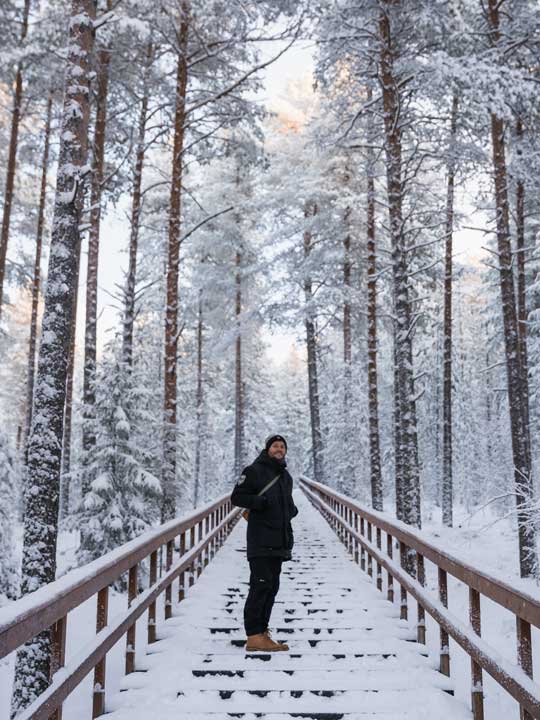 Start der Wanderung in Ounasvaara Rovaniemi