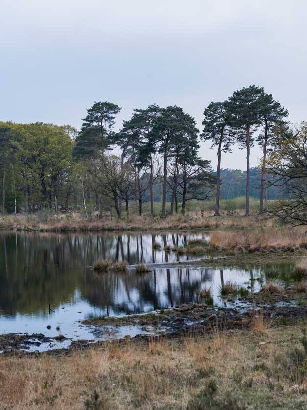 De Kampina in Oisterwijk