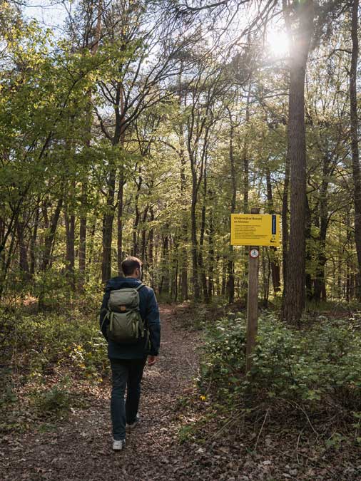 Wanderungen Bossen en Vennen