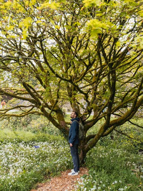 Blarney Castle und Gardens in Cork