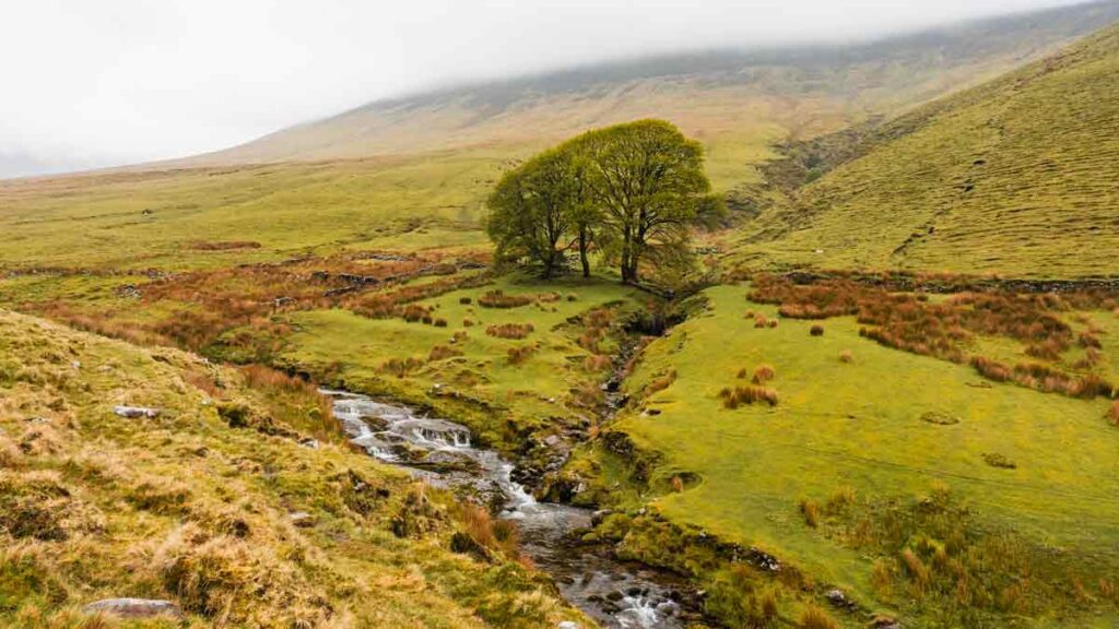 Die Galtee Mountains