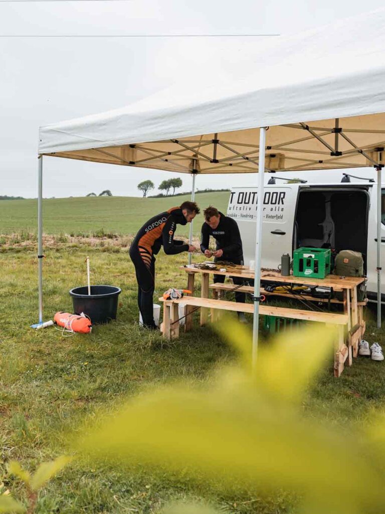 Seegraspflanzen in Fredericia Dänemark
