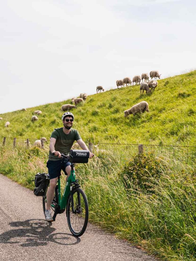 Organisierte Radreise durch Zeeland mit Ameropa