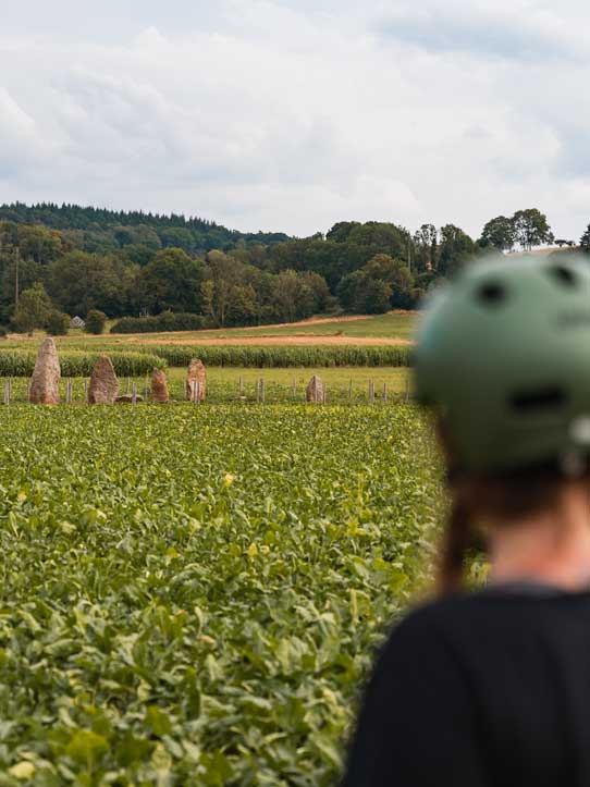 Megalithenfeld in Wéris Ardennen Wallonie