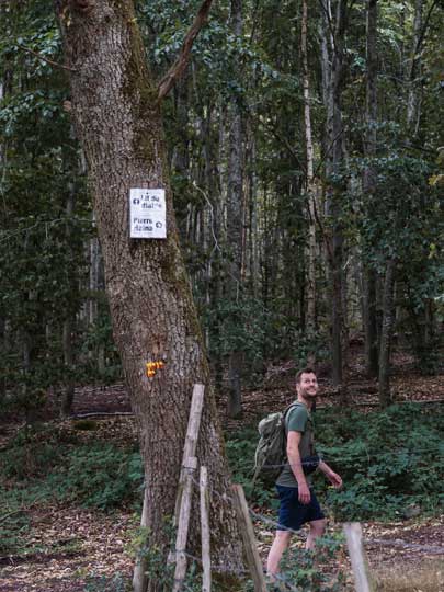 Wanderung zum Pierre Haina in den Ardennen Wallonie
