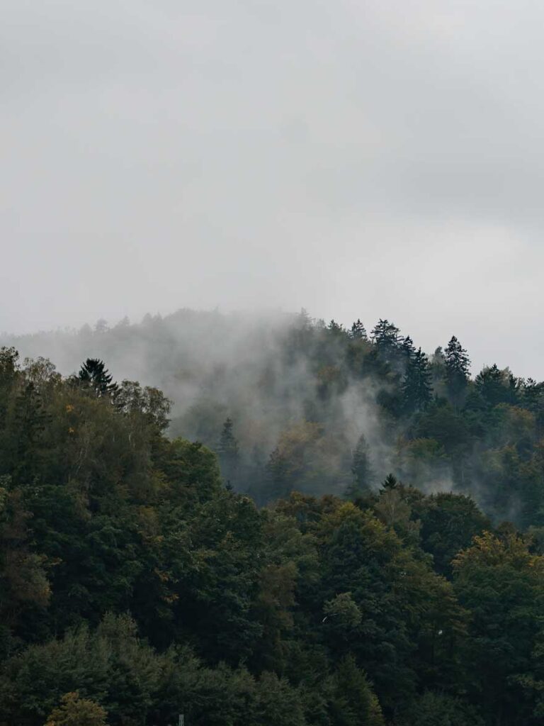 Nebel in den Bergen der Sächsischen Schweiz