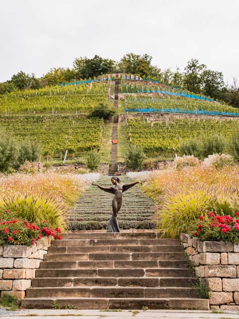 Skulptur in den Weinbergen Dresdens